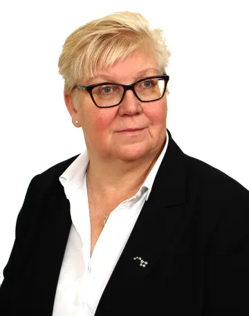 Hybridialusta - Maarit Laakkonen, Otava